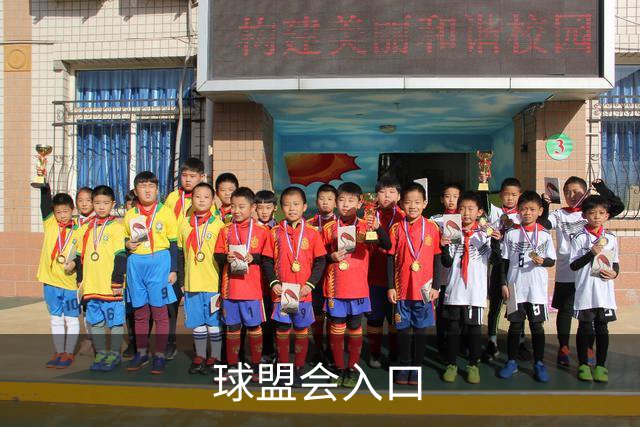 球盟会入口